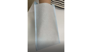 Airlaid + PE Wash Gloves 