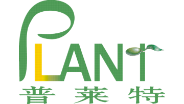 Our Company