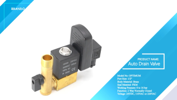 1/2'' Timer Controlled Condestate Auto Drain Valve