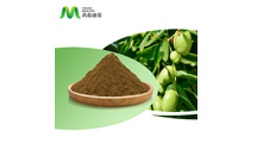 40 oleurpein olive leaf extract olive leaves extract powder1