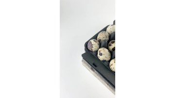 Custom quail egg cartons/ quail eggs packing/wholesale pulp quail egg carton manufacturer1