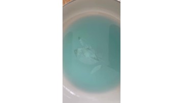 npk 20-20-20 liquid vedio