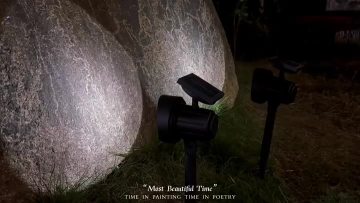 Park mounted spotlights