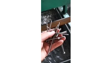Building common wire nail, Construction Common nail iron nail factory1
