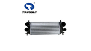 Intercooler Core Auto Parts Car Intercooler for Ford EXPEDITION 3.5L V6 18- OEM FL346K775AC FL326K775B1