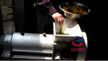 fruit juicer.mp4