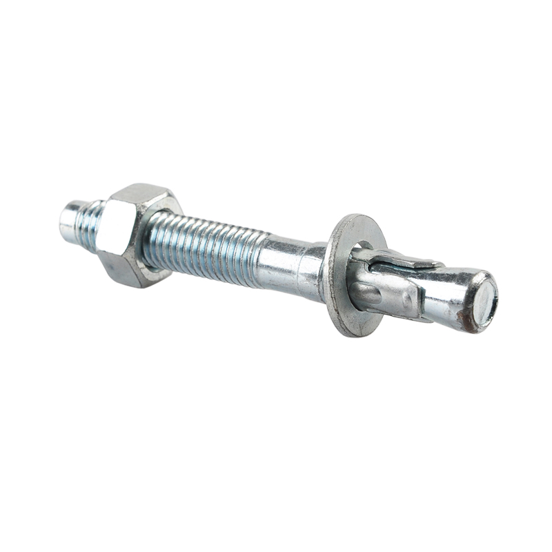 Wedge Anchor-3