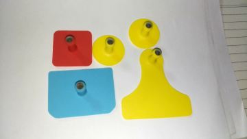 Creative ear tags various size One Piece Cattle Tags for Farm Husbandry Animal management1