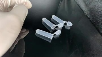 2ml centrifuge tubes