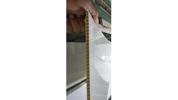 WPC wall panel