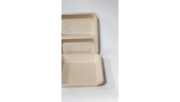 Sugarcane bagass paper pulp disposable biodegradable food tray1