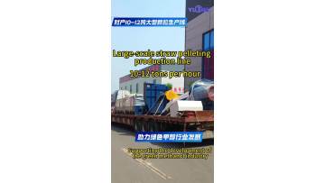 Delivery 10-12 tons per hour straw pellet production line | YULONG
