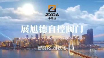 company introduction