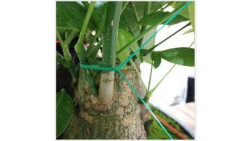 Flower and tree binding cable tie tie wire