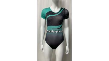 competitive gymnastics leotards