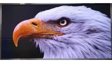 COB0.7/0.9 LED Video Screen Indoor Advertising Billboard Full Color LED Display1
