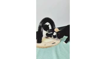NWW-006 Arch Scratcher