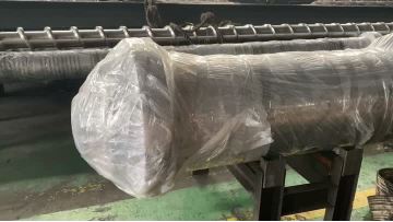 Carbon dioxide foaming screw