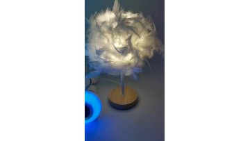 Creative Romantic Nordic Modern Bedroom Bedside Feather LED Table Lamp Night Light For Wedding Holiday Party Room Decoration1