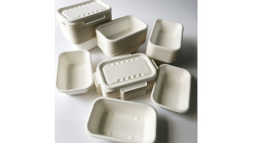 Bagasse container series EGP450ml 500ml  650ml 750ml1000