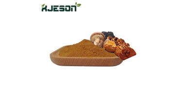 Complex Mushroom Extract
