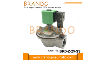 BRD-Z-25-SS 1'' Stainless Steel Pulse Jet Valve