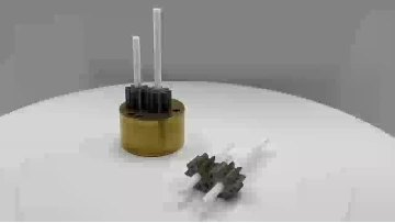 PEEK Gears and Ceramic Shaft