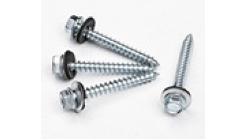 Stainless Steel 304 Self Tapping Screws: 4.8, 8.8, 10.9, and 12.9 Grade Pan Head Self Tapping Metal Screws1