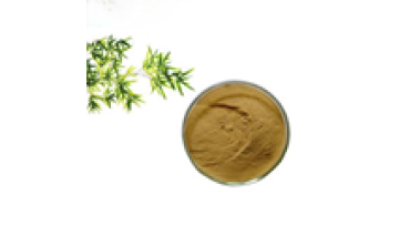 Wholesale Supplement Powder Organic Bamboo Leaf Extract Medical Grade1