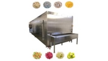 Ultra Continuous Frozen Meat IQF Blast Freezer Tunnel - 1 Ton Capacity1