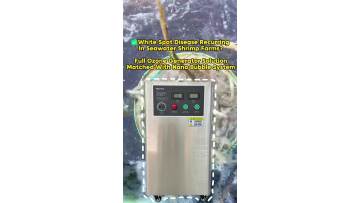 30g Industrial Ozone System for Shrimp Farms – White Spot Disease Solution