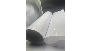TL-PET-0231 The Role of PET Film in Revolutionizing Blister Trays and Packaging Solutions