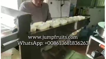 Semi-automatic Weighing And Packaging Machine