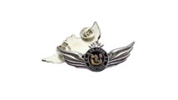 Custom Metal Airline Wings Pin Badge1
