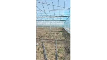 multi-span greenhouse