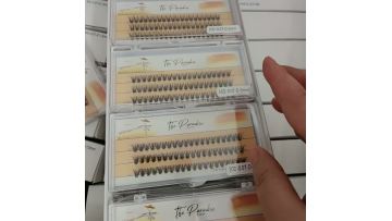 fan eyelashes