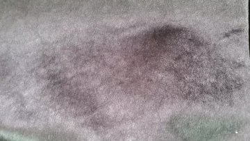 Reactive Printed Italian Velvet