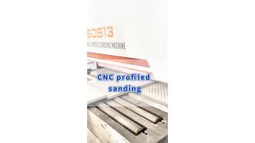 SDS13-Sanding the mixed oil door panel