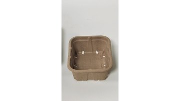 Eco-friendly molded fiber fruit storage basket for wholesale1
