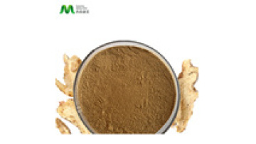 Hot Sale Ligustilide Dong Quai Angelica Sinensis Root Extract Powder1