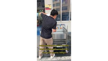 Potato Washing Peeling Machine