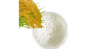  Natural rice bran extract ferulic acid