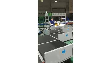 2 Feeders Intelligent Z Sorter