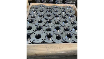 EN1092-1 FLANGE P250GH MARKING
