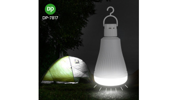 Energy Saving B22 E27 Rechargeable Emergency Bulb-7817