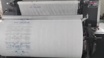 Nonwoven Bags