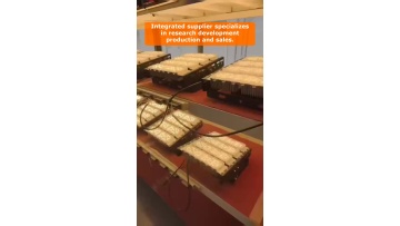 Video 2