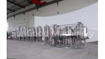 10BBL 15BBL 20BBL 30BBL Craft Brewery Brewhouse Beer Brewing Equipment with Beer Bright Tank Beer Fermenter1