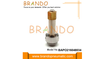 BAPO216048034