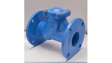 ball check valve